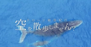 スクリーンショット 2018-04-01 8.03.55